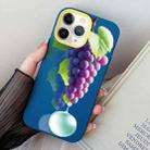 For iPhone 11 Pro Grape Pattern PC Hybrid TPU Phone Case(Royal Blue) - 1