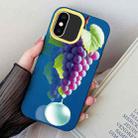 For iPhone X / XS Grape Pattern PC Hybrid TPU Phone Case(Royal Blue) - 1