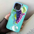 For iPhone XR Grape Pattern PC Hybrid TPU Phone Case(Sky Cyan) - 1