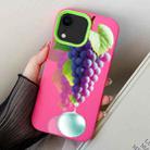 For iPhone XR Grape Pattern PC Hybrid TPU Phone Case(Rose Red) - 1