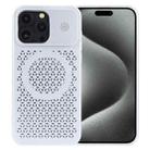 For iPhone 15 Pro Pure Color Honeycomb Aromatherapy MagSafe Phone Case(Silver) - 1