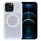 For iPhone 12 Pro Pure Color Honeycomb Aromatherapy MagSafe Phone Case(Silver) - 1