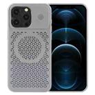 For iPhone 12 Pro Pure Color Honeycomb Aromatherapy MagSafe Phone Case(Grey) - 1