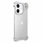 For iPhone 12 Aromatherapy Alloy Frameless Phone Case(Silver) - 1