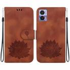 For Motorola Edge 30 Neo /  Edge 30 Lite Lotus Embossed Leather Phone Case(Brown) - 1