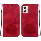 For Motorola Moto G54 Lotus Embossed Leather Phone Case(Red) - 1