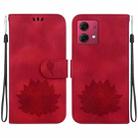 For Motorola Moto G84 Lotus Embossed Leather Phone Case(Red) - 1
