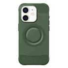 For iPhone 12 Skin Feel Frosted TPU Phone Case(Green) - 1