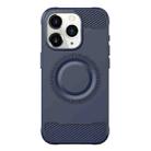 For iPhone 11 Pro Max Skin Feel Frosted TPU Phone Case(Blue) - 1