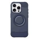 For iPhone 16 Pro Max Skin Feel Frosted TPU Phone Case(Blue) - 1