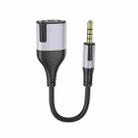 Borofone BL19 2 in 1 Jack 3.5mm Male To 2 x Jack 3.5mm Female Headphone Mic Audio Adapter Cable, Length: 15cm(Black) - 1