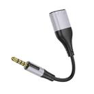 Borofone BL19 2 in 1 Jack 3.5mm Male To 2 x Jack 3.5mm Female Headphone Mic Audio Adapter Cable, Length: 15cm(Black) - 3