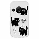 For Xiaomi Redmi A3 Colored Drawing Pattern Transparent TPU Phone Case(Black Cat) - 3