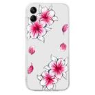 For Samsung Galaxy A05 Colored Drawing Pattern Transparent TPU Phone Case(Sakura) - 3