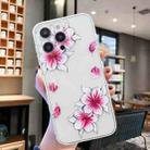 For iPhone 14 Pro Colored Drawing Pattern Transparent TPU Phone Case(Sakura) - 2