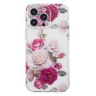 For iPhone 14 Pro Max Colored Drawing Pattern Transparent TPU Phone Case(Peony) - 3