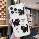 For iPhone 14 Pro Max Colored Drawing Pattern Transparent TPU Phone Case(Black Cat) - 2