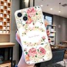 For iPhone 15 Plus Colored Drawing Pattern Transparent TPU Phone Case(Rose) - 2