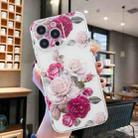 For iPhone 15 Pro Colored Drawing Pattern Transparent TPU Phone Case(Peony) - 2