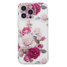 For iPhone 15 Pro Colored Drawing Pattern Transparent TPU Phone Case(Peony) - 3