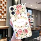For iPhone 16 Colored Drawing Pattern Transparent TPU Phone Case(Rose) - 2