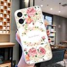 For iPhone 16 Plus Colored Drawing Pattern Transparent TPU Phone Case(Rose) - 2