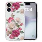 For iPhone 16 Plus Colored Drawing Pattern Transparent TPU Phone Case(Peony) - 1