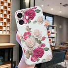 For iPhone 16 Plus Colored Drawing Pattern Transparent TPU Phone Case(Peony) - 2