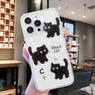 For iPhone 16 Pro Max Colored Drawing Pattern Transparent TPU Phone Case(Black Cat) - 2