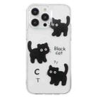 For iPhone 16 Pro Max Colored Drawing Pattern Transparent TPU Phone Case(Black Cat) - 3