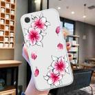 For iPhone SE 2022 / SE 2020 / 8 / 7 Colored Drawing Pattern Transparent TPU Phone Case(Sakura) - 2