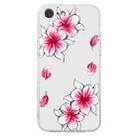 For iPhone SE 2022 / SE 2020 / 8 / 7 Colored Drawing Pattern Transparent TPU Phone Case(Sakura) - 3