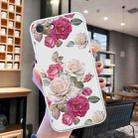 For iPhone SE 2022 / SE 2020 / 8 / 7 Colored Drawing Pattern Transparent TPU Phone Case(Peony) - 2