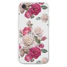 For iPhone SE 2022 / SE 2020 / 8 / 7 Colored Drawing Pattern Transparent TPU Phone Case(Peony) - 3