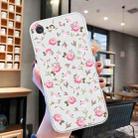 For iPhone SE 2022 / SE 2020 / 8 / 7 Colored Drawing Pattern Transparent TPU Phone Case(Pink Floral) - 2