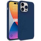 For iPhone 16 Pro Wheat Straw TPU Phone Case(Blue) - 1