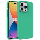 For iPhone 16 Pro Wheat Straw TPU Phone Case(Green) - 1