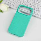 For iPhone 17 Pro Wheat Straw TPU Phone Case(Green) - 1