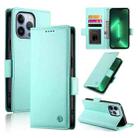 For iPhone 13 Pro Side Buckle Magnetic Frosted Leather Phone Case(Mint Green) - 1