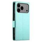 For iPhone 17 Pro Max Side Buckle Magnetic Frosted Leather Phone Case(Mint Green) - 3