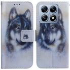 For Xiaomi 14T Coloured Drawing Flip Leather Phone Case(White Wolf) - 1