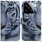 For Xiaomi 15 Coloured Drawing Flip Leather Phone Case(Tiger) - 1