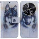 For Huawei nova 12i 4G Global Coloured Drawing Flip Leather Phone Case(White Wolf) - 1