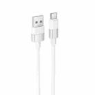 Borofone BX106 3A USB-A to USB-C / Type-C Fast Charge Data Cable, Length:1m(White) - 2