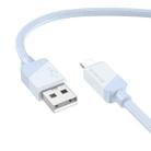 Borofone BX107 2.4A USB-A to 8 Pin Fast Charge Data Cable, Length:1m(Blue) - 1