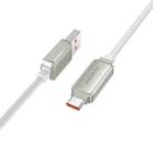 Borofone BU53 Meteor 1.2m 5A USB to USB-C / Type-C Charging Data Cable(Grey) - 1