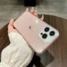 For iPhone 15 Pro Love Pattern Transparent Lens Frame IMD Acrylic Phone Case(Pink) - 2