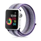 For Apple Watch Ultra 49mm / Series 8&7 45mm / SE 2&6&SE&5&4 44mm / 3&2&1 42mm Nylon Loop Watch Band(Striped Blue) - 1