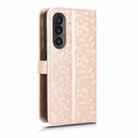 For Samsung Galaxy M56 5G Honeycomb Dot Texture Leather Phone Case(Gold) - 3