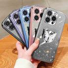 For iPhone 16 Pro Plated Gradient Glitter Butterfly Holder TPU Phone Case(Silver) - 2